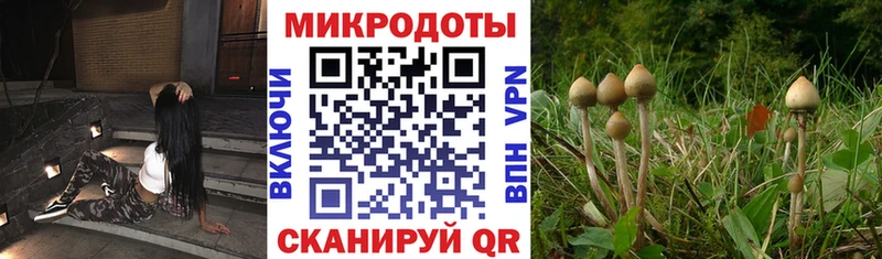Галлюциногенные грибы прущие грибы  закладки  Трубчевск 